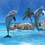 Charming In With Shared Pool شقة البوفيرا