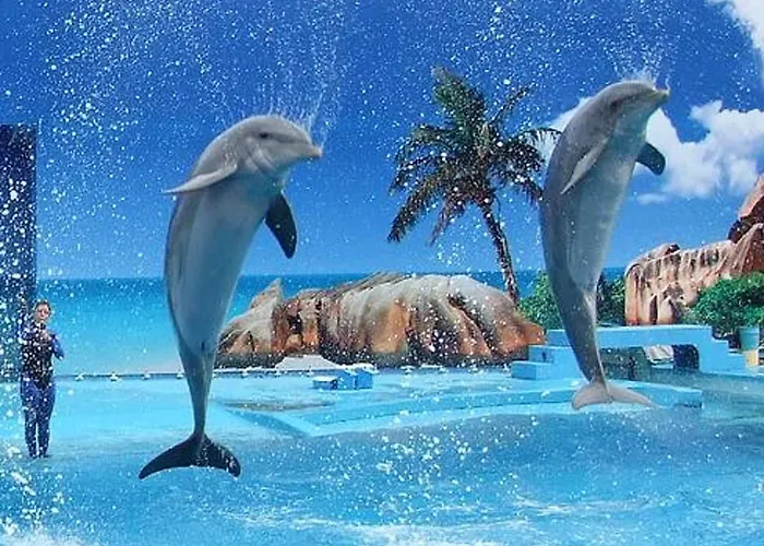 Charming In With Shared Pool Apartament Albufeira